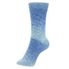 Schoeller Stahl Fortissima Cotton Long Island
