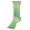 Schoeller Stahl Fortissima Cotton Long Island