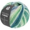 Lana Grossa Cool Wool 4 Socks Print