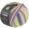 Lana Grossa Cool Wool 4 Socks Print