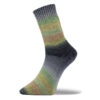 Pro Lana Golden Socks Adelboden
