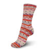 Regia 4-ply Soft Spots Color