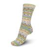 Regia 4-ply Soft Spots Color